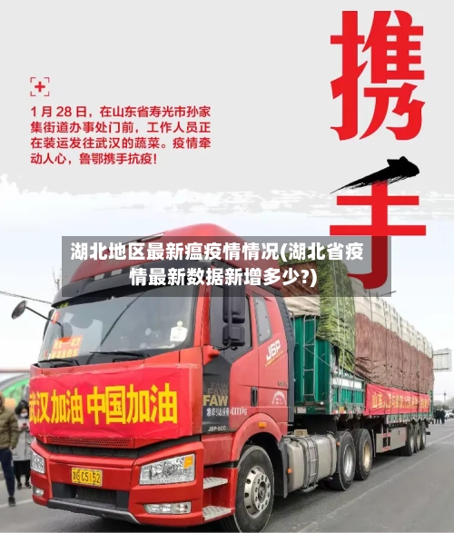 湖北地区最新瘟疫情情况(湖北省疫情最新数据新增多少?)-第2张图片