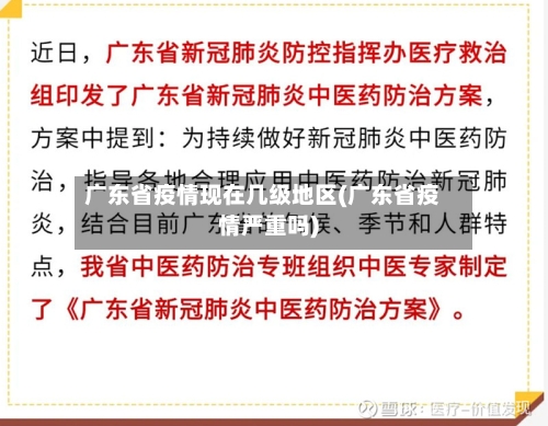 广东省疫情现在几级地区(广东省疫情严重吗)-第2张图片