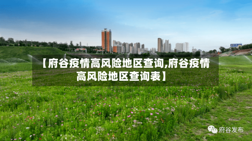 【府谷疫情高风险地区查询,府谷疫情高风险地区查询表】-第1张图片