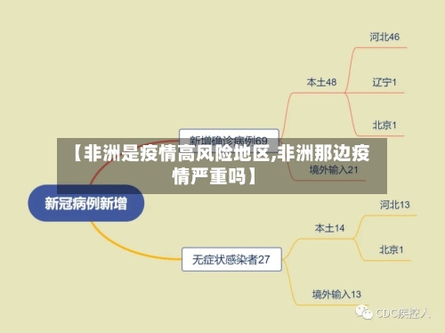 【非洲是疫情高风险地区,非洲那边疫情严重吗】-第2张图片