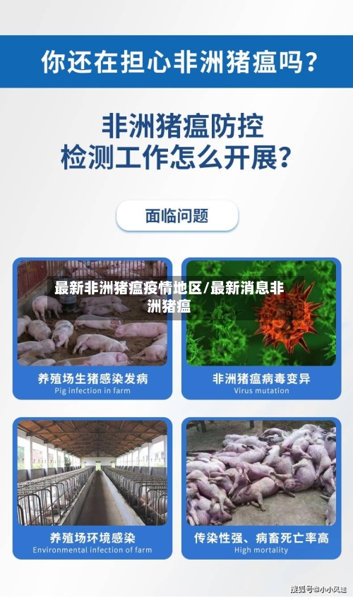 最新非洲猪瘟疫情地区/最新消息非洲猪瘟-第3张图片