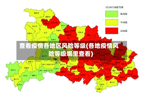 查看疫情各地区风险等级(各地疫情风险等级哪里查看)-第2张图片