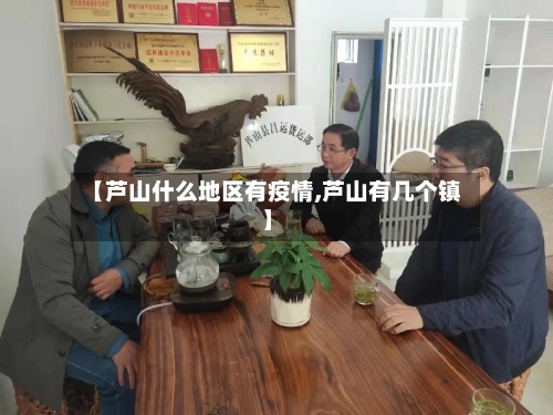 【芦山什么地区有疫情,芦山有几个镇】
