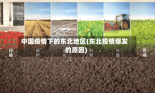 中国疫情下的东北地区(东北疫情爆发的原因)-第2张图片