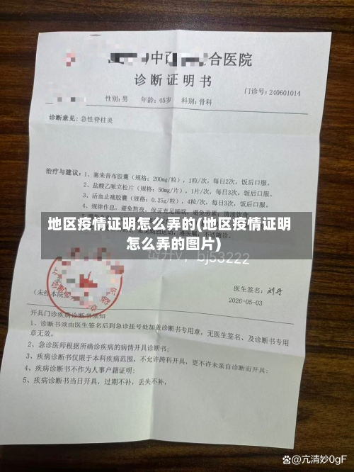 地区疫情证明怎么弄的(地区疫情证明怎么弄的图片)-第2张图片