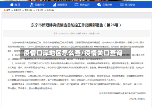 疫情口岸地区怎么查/疫情关口查询