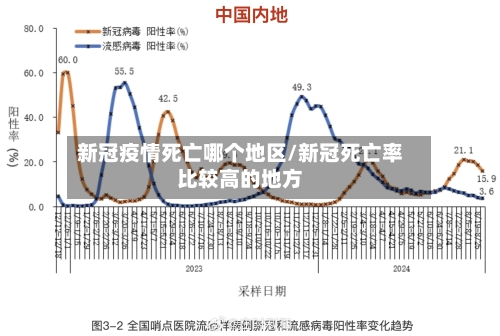 新冠疫情死亡哪个地区/新冠死亡率比较高的地方