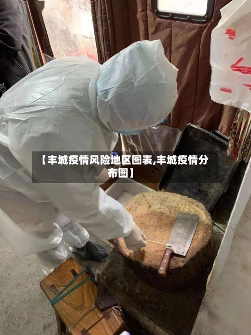 【丰城疫情风险地区图表,丰城疫情分布图】