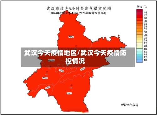 武汉今天疫情地区/武汉今天疫情防控情况
