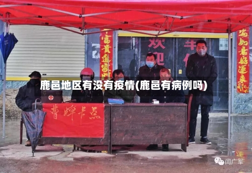 鹿邑地区有没有疫情(鹿邑有病例吗)-第2张图片