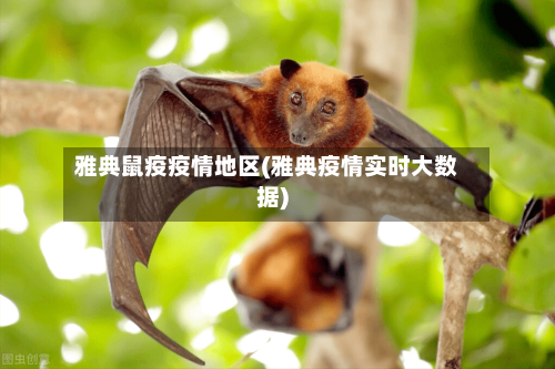 雅典鼠疫疫情地区(雅典疫情实时大数据)-第2张图片