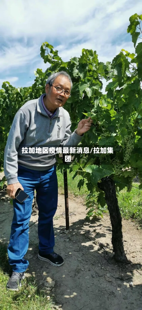 拉加地区疫情最新消息/拉加集团-第3张图片
