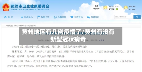 黄州地区有几例疫情了/黄州有没有新型冠状病毒-第3张图片