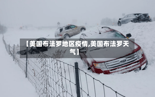 【美国布法罗地区疫情,美国布法罗天气】-第2张图片