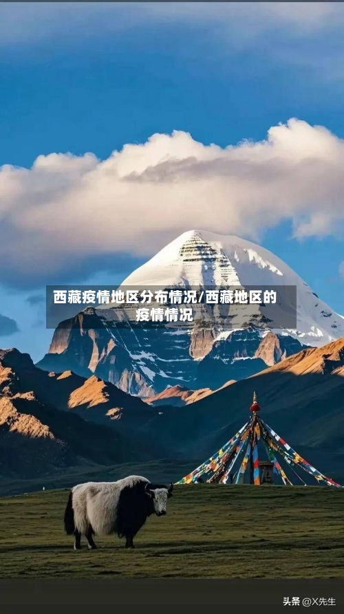 西藏疫情地区分布情况/西藏地区的疫情情况