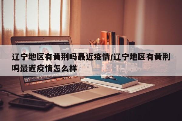 辽宁地区有黄荆吗最近疫情/辽宁地区有黄荆吗最近疫情怎么样